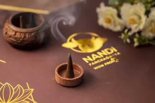 Lavender Dhoop Cones