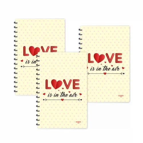 Love Is In The Air Designer Ruled Diaries - Pack Of 3