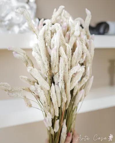 Preserved Natural Flamingo Dried Flower For Gifting or Vase Filler